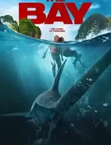 The-Bay-2026